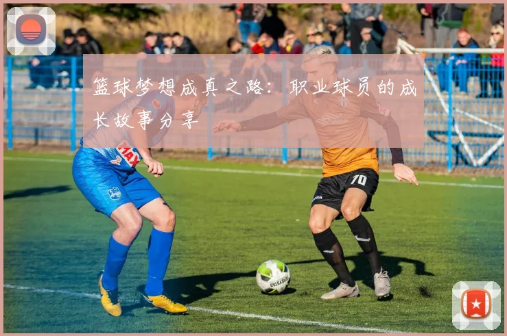 篮球梦想成真之路：职业球员的成长故事分享